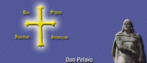 Don Pelayo 9